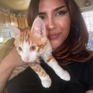 Meet your Posher, Camby